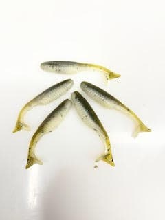 Baby Bass