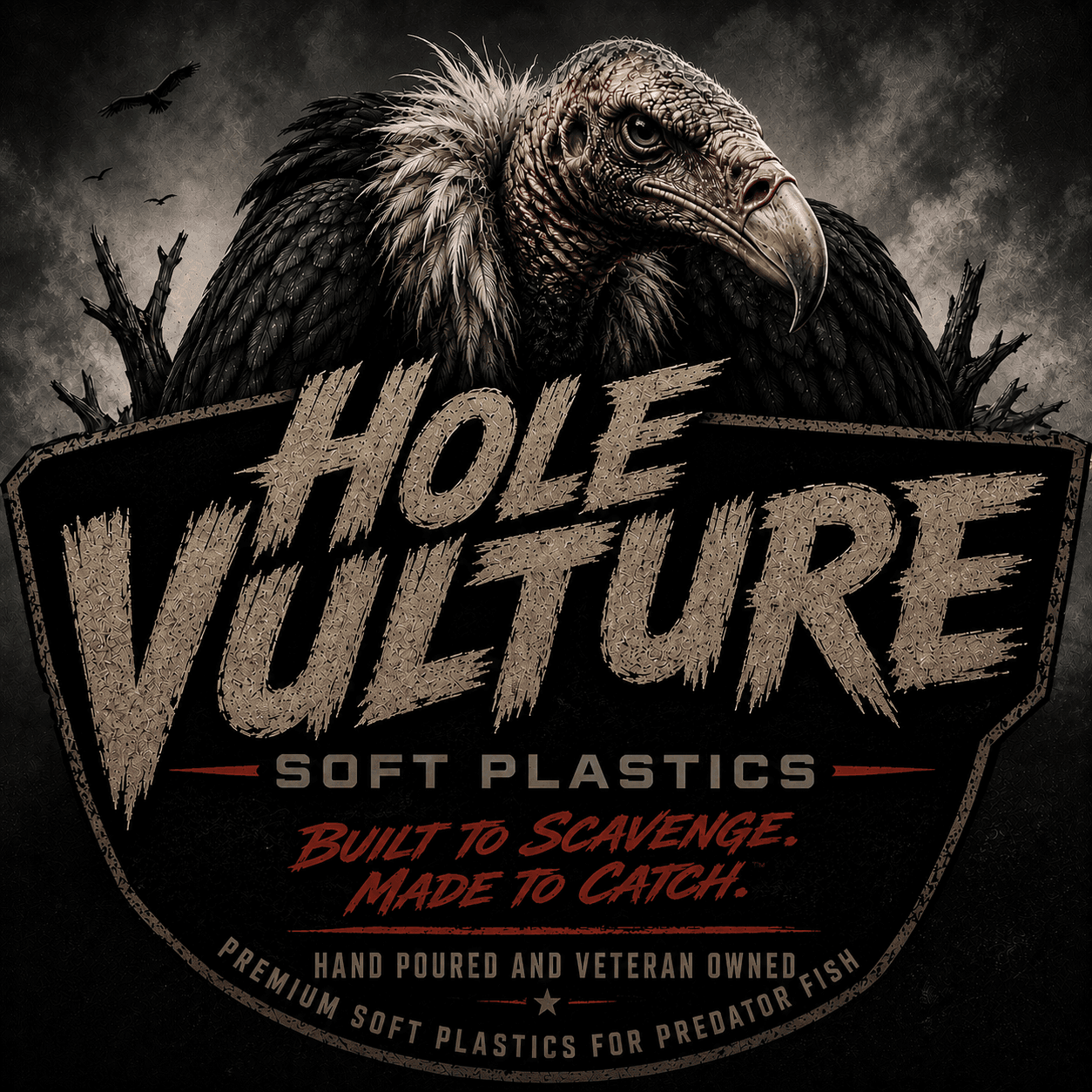 HoleVultureBaits