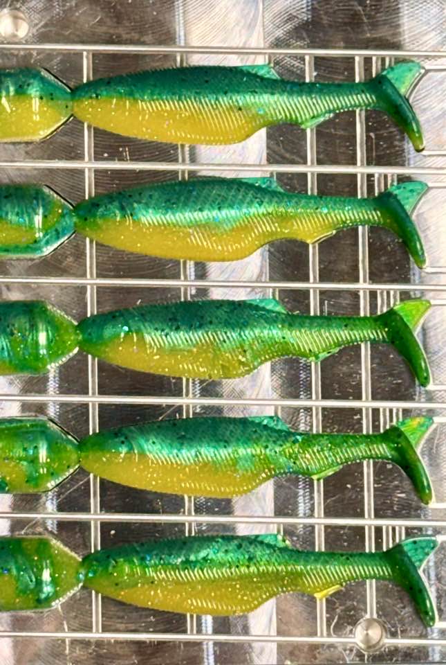 Green Perch
